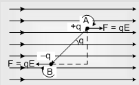 460_Electric Dipole1.png